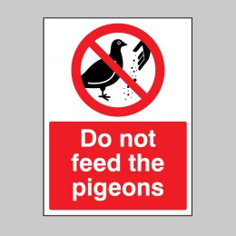 Do Not Feed the Pigeons - 