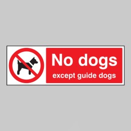 No Dogs Except Guide Dogs - 