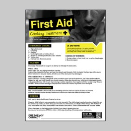 Choking - First Aid Poster - 