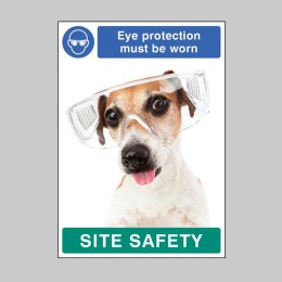 Eye Protection must be Worn - Dog - Poster - 