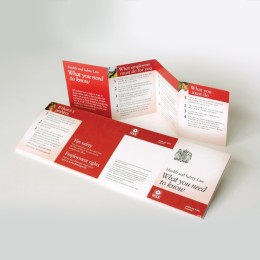 Law - Poster Pocket Guide (Pack of 25) - 