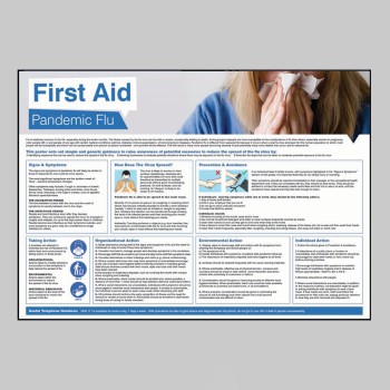 Pandemic Flu - Poster - 