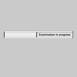 Examination in Progress Door Slider - 