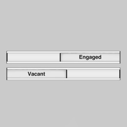 Vacant / Engaged - Door Slider - 