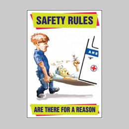 Safety Rules Are there for a Reason - Poster - 